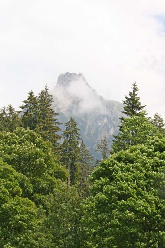 Neuschwanstein juni 2011 - 134